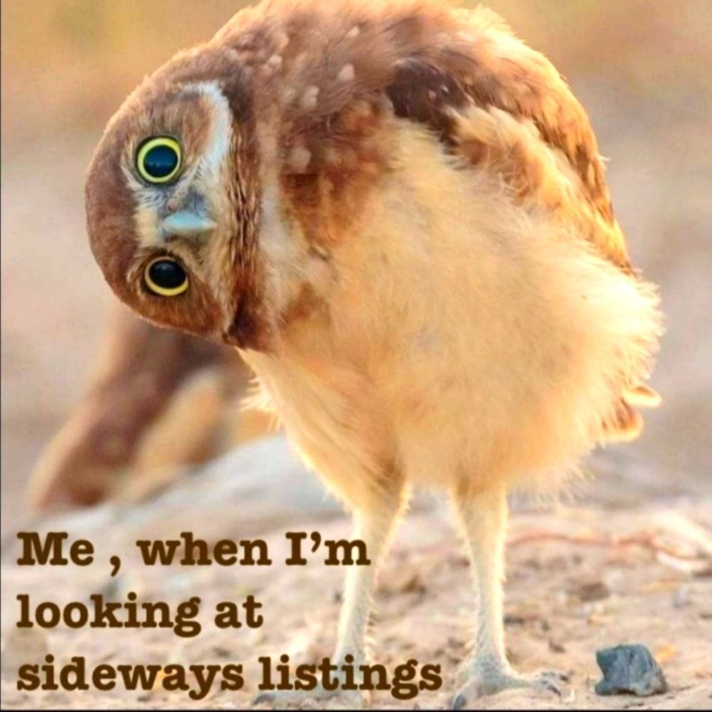 Poshmark Humor - Picture 6 of 10